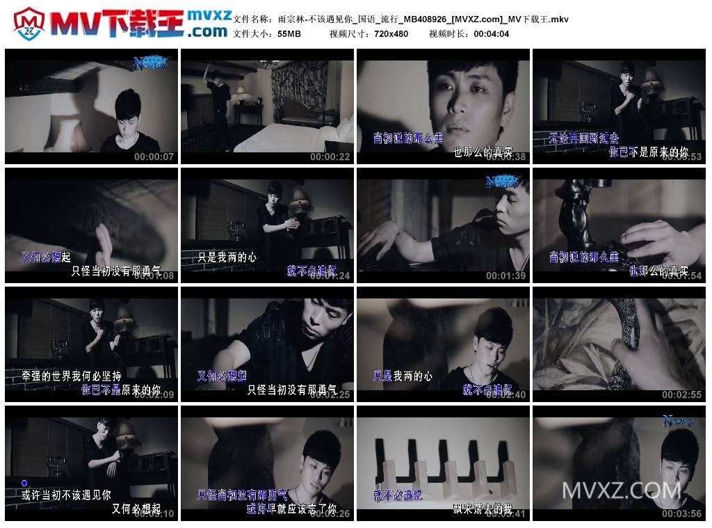 雨宗林-不该遇见你_国语_流行_MB408926